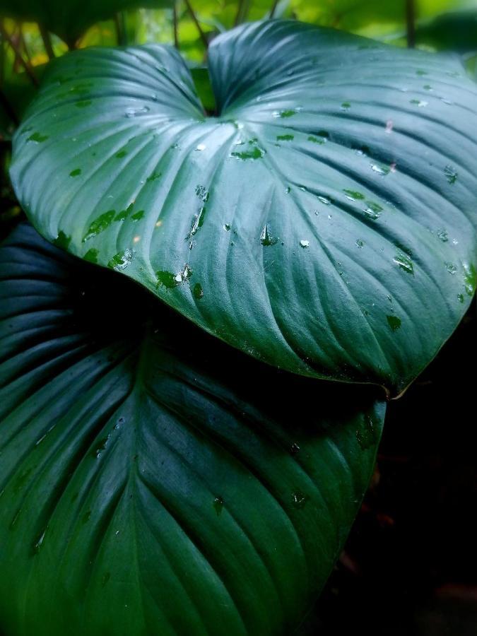Finca Kobo Palo Seco Buitenkant foto