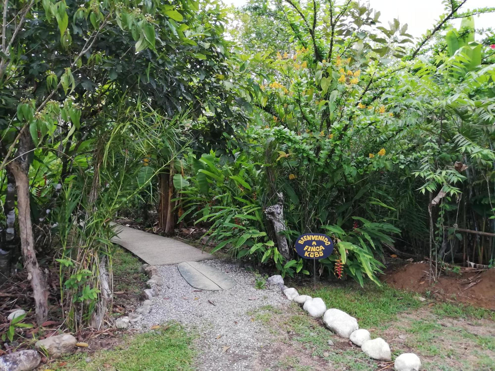 Finca Kobo Palo Seco Buitenkant foto