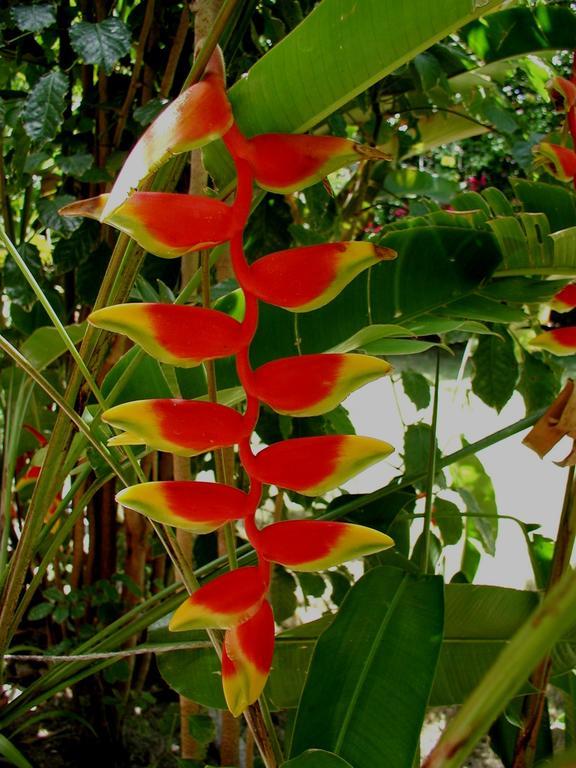 Finca Kobo Palo Seco Buitenkant foto
