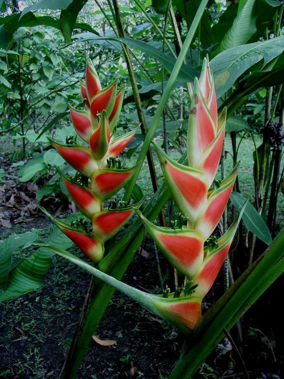 Finca Kobo Palo Seco Buitenkant foto