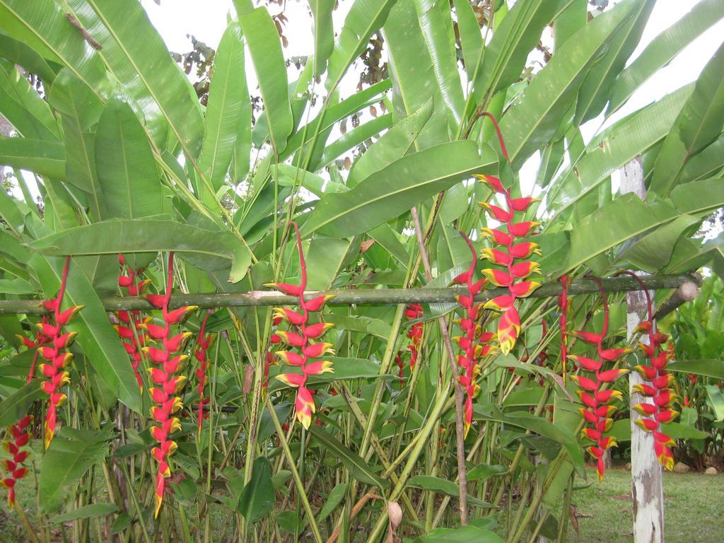 Finca Kobo Palo Seco Buitenkant foto