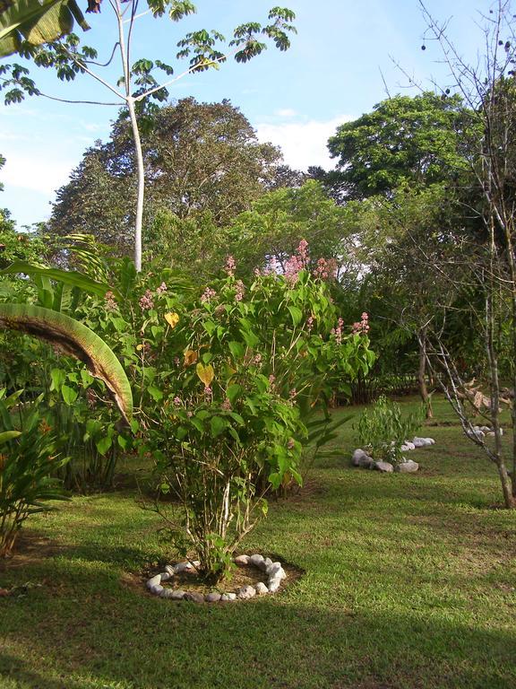 Finca Kobo Palo Seco Buitenkant foto