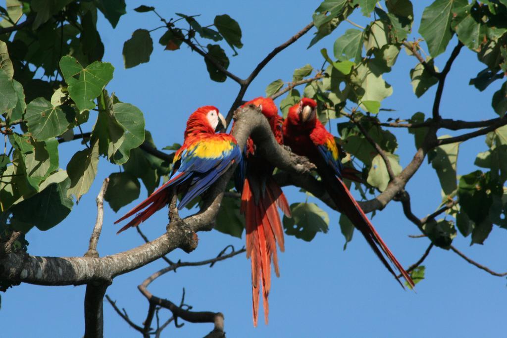 Finca Kobo Palo Seco Buitenkant foto